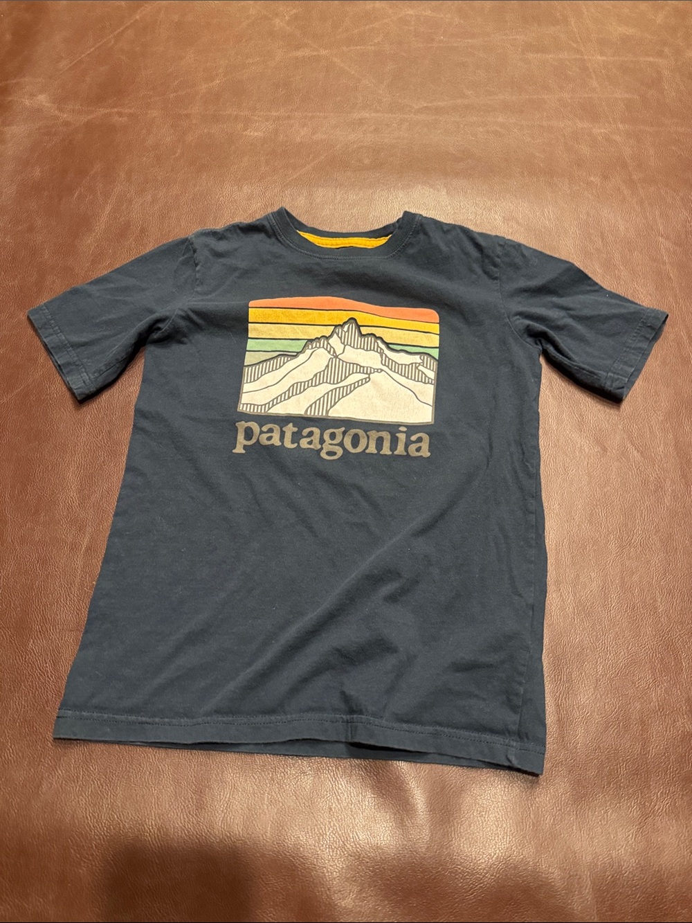Patagonia Navy Mountain Stripe Graphic Tee